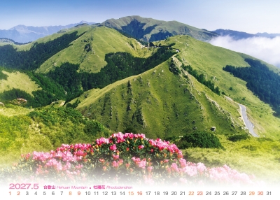 合歡山杜鵑花桌曆製作-5月份