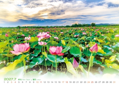 新北蓮花桌曆製作-7月份