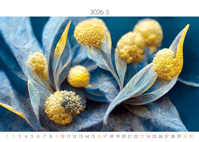 白花桌曆製作-5月份